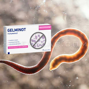 Гельминот купить в аптеке в Горис